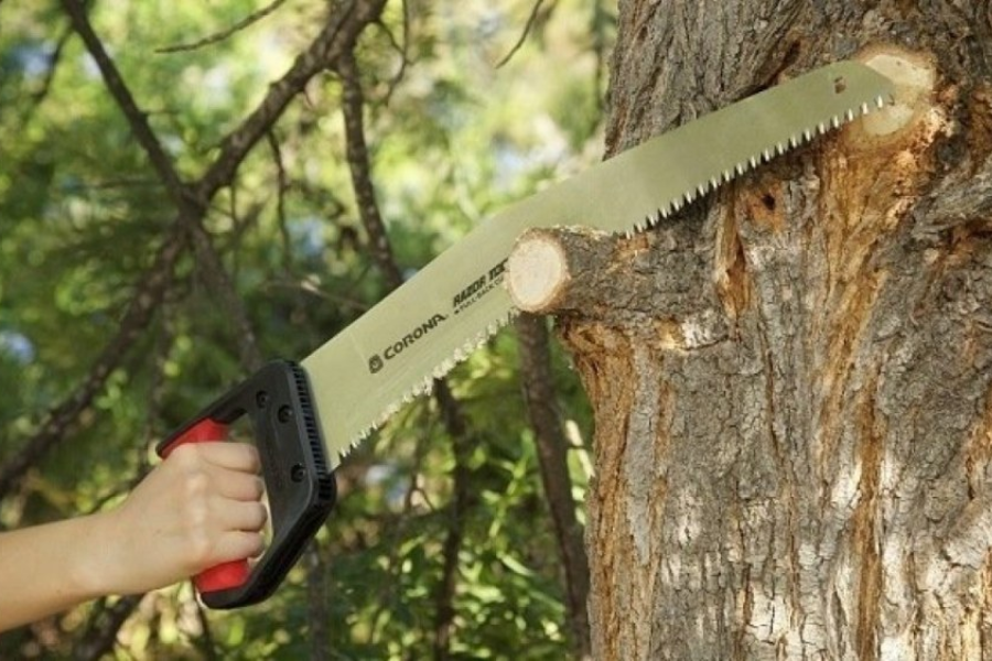 wood cutting tools with arched blades